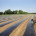 REPORTAGE SUR UNE CANDIDATE AUX LEGISLATIVES 2017, SANDRINE LE FEUR, DANS LA 4EME CIRCONSCRIPTION DU FINISTERE. thumbnail