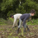 GRAINE DE DEPUTEE: DES CHAMPS BIO AUX BANCS DE L'ASSEMBLEE NATIONALE, SANDRINE LE FEUR. thumbnail