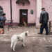 UN VILLAGE SUR LA LIGNE DE FRONT UKRAINIENNE. thumbnail