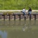 SERIE: CANAL DE L'OURCQ. thumbnail