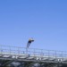 CANAL DE L'OURCQ, ETE 2019. thumbnail