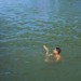 CANAL DE L'OURCQ, ETE 2019. thumbnail