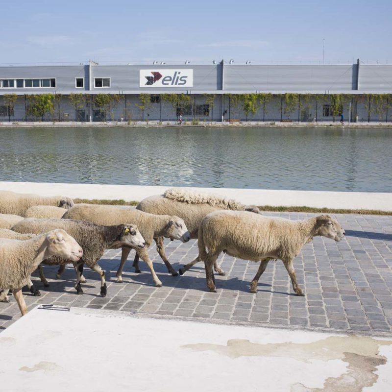 CANAL DE L'OURCQ, ETE 2019.