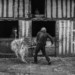 SERIE MON ONCLE thumbnail