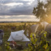 LE PROJET EUROPACITY FACE A UNE ACTION DE MILITANTS ECOLOGISTES. thumbnail