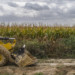 ACTION DE MILITANTS ECOLOGIQUES CONTRE LE PROJET EUROPACITY ET LA GARE DE GONESSE. thumbnail