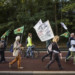 MARCHE DE GONESSE A MATIGNON, CONTRE LA GARE DE GONESSE ET LE PROJET EUROPACITY. thumbnail