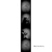 SERIE PHOTOS: PHOTOMATON thumbnail