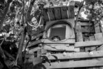 webEDEN034 thumbnail