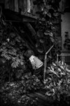 webEDEN055-2 thumbnail