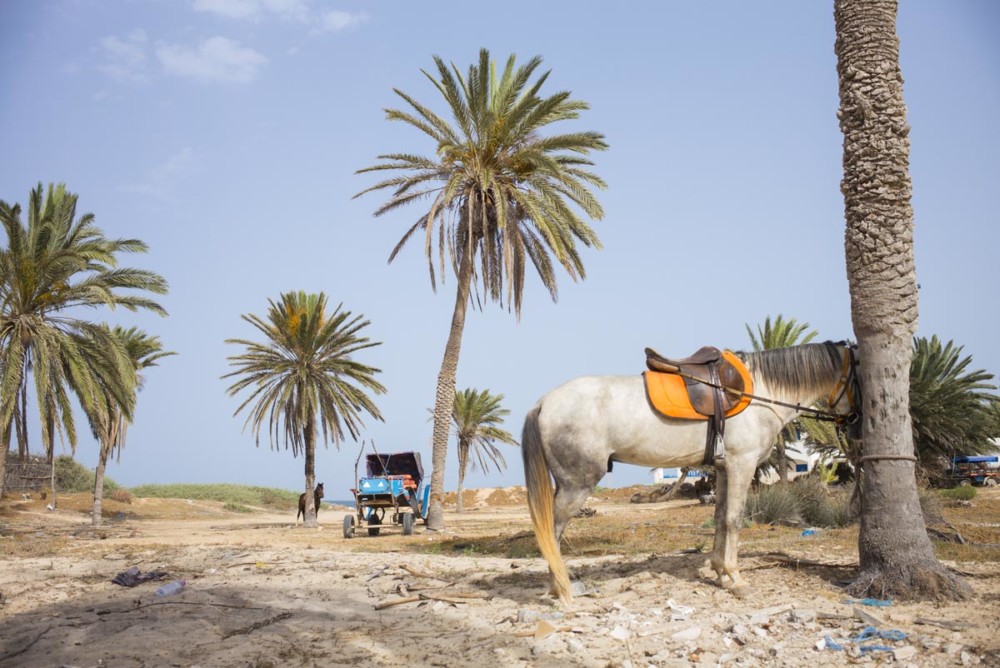 ZARZIS, TUNISIE.