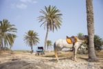 ZARZIS, TUNISIE. thumbnail