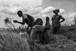 REPORTAGE EN HAITI, 2 MOIS APRES LE SEISME DU 12 JANVIER 2010. thumbnail