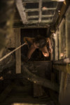 ABC08417 thumbnail