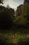 SERIE PHOTO: LE RUISSEAU thumbnail