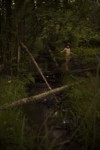 SERIE: LE RUISSEAU. thumbnail