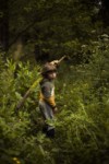 SERIE: LE RUISSEAU. thumbnail