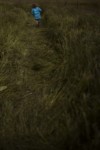 SERIE: LE RUISSEAU thumbnail