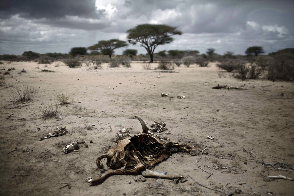 DRAME HUMANITAIRE CAUSE PAR LA SECHERESSE ET LA FAMINE: EXODE DES SOMALIENS AU KENYA.