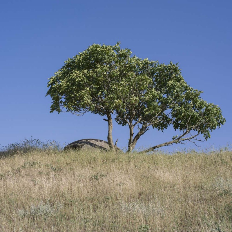 WAR IS OVER: LES DERNIERS BUNKERS ALBANAIS