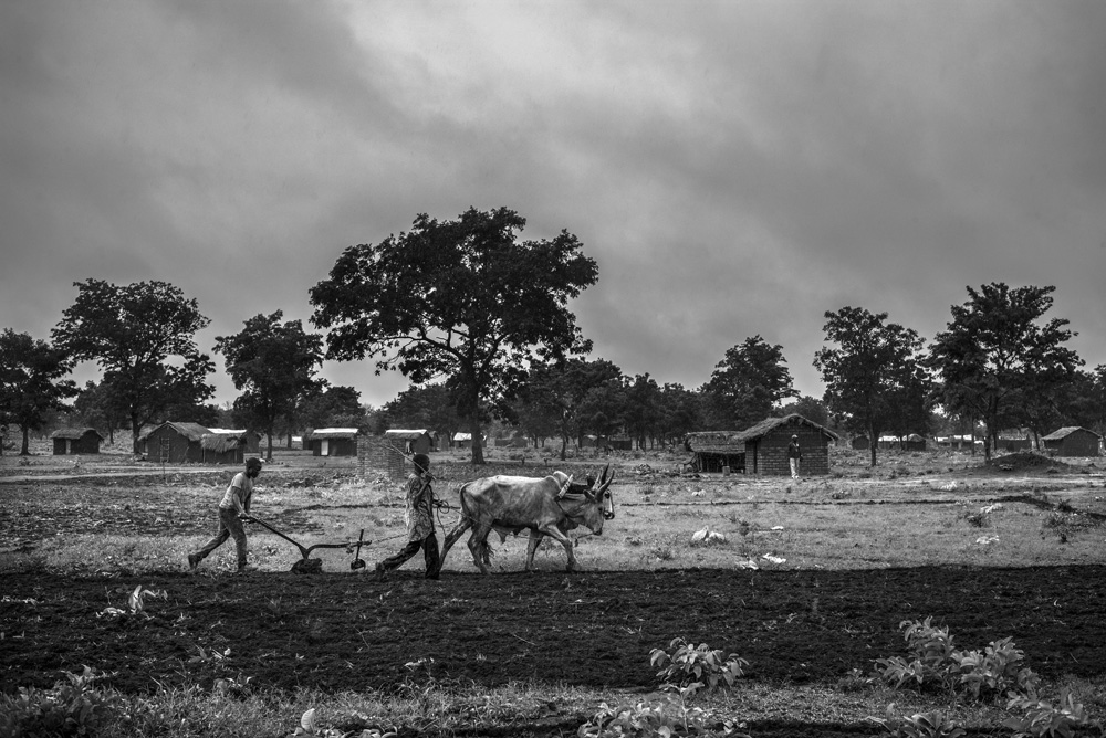 REPORTAGE SUR LA SITUATION ALIMENTAIRE DANS LE CAMP DE DOSSEYE, AU SUD DU TCHAD.