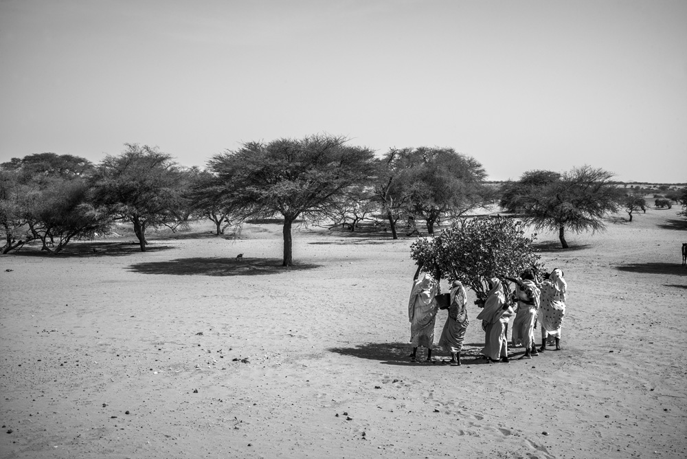 REPORTAGE SUR LA SITUATION ALIMENTAIRE DANS LE CAMP DE REFUGIES DE TOULOUM, A L'EST DU TCHAD.