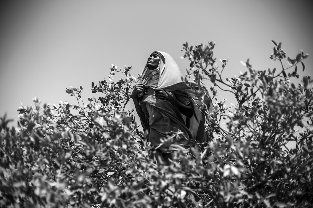 REPORTAGE SUR LA SITUATION ALIMENTAIRE DANS LE CAMP DE REFUGIES DE TOULOUM, A L'EST DU TCHAD.