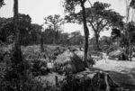 REFUGEES FROM CAR JUST ARRIVED IN THE UNHCR BILI CAMP, IN NORTH CONGO DRC. thumbnail