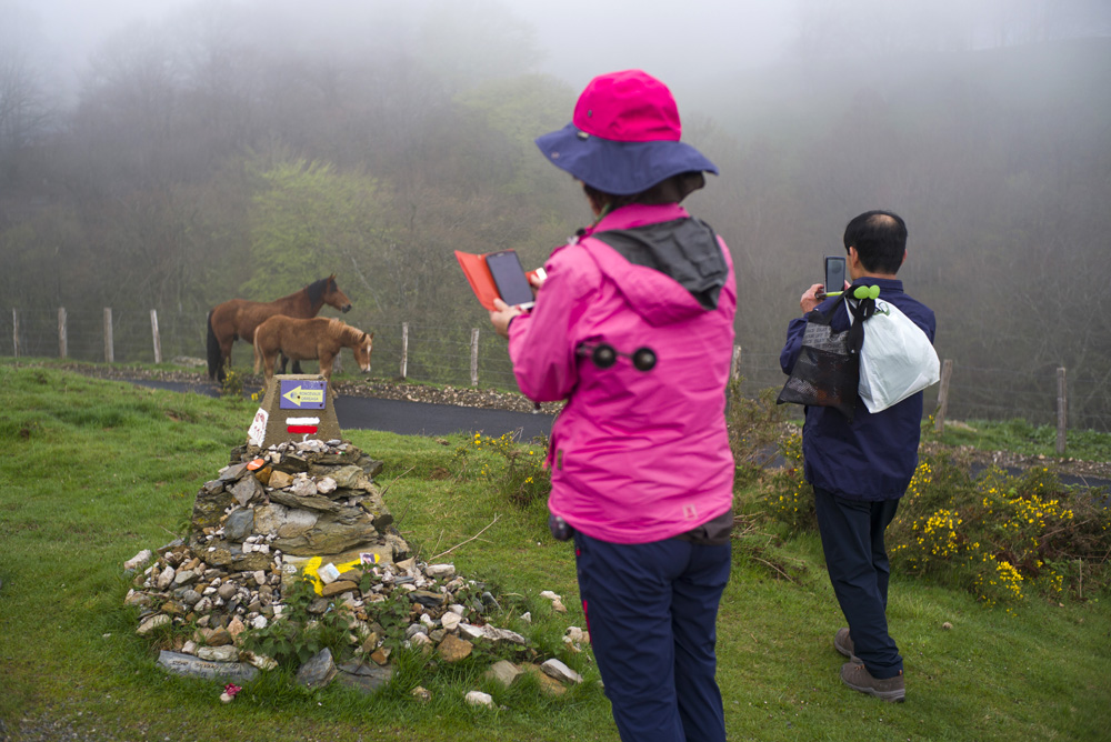 LE PELERINAGE DE SAINT-JACQUES-DE-COMPOSTELLE, SUR LE CAMINO FRANCES EN ESPAGNE.