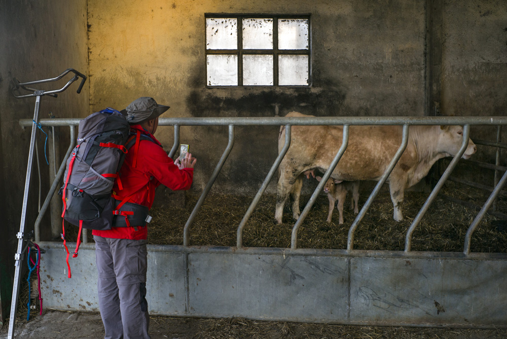 LE PELERINAGE DE SAINT-JACQUES-DE-COMPOSTELLE, SUR LE CAMINO FRANCES EN ESPAGNE.