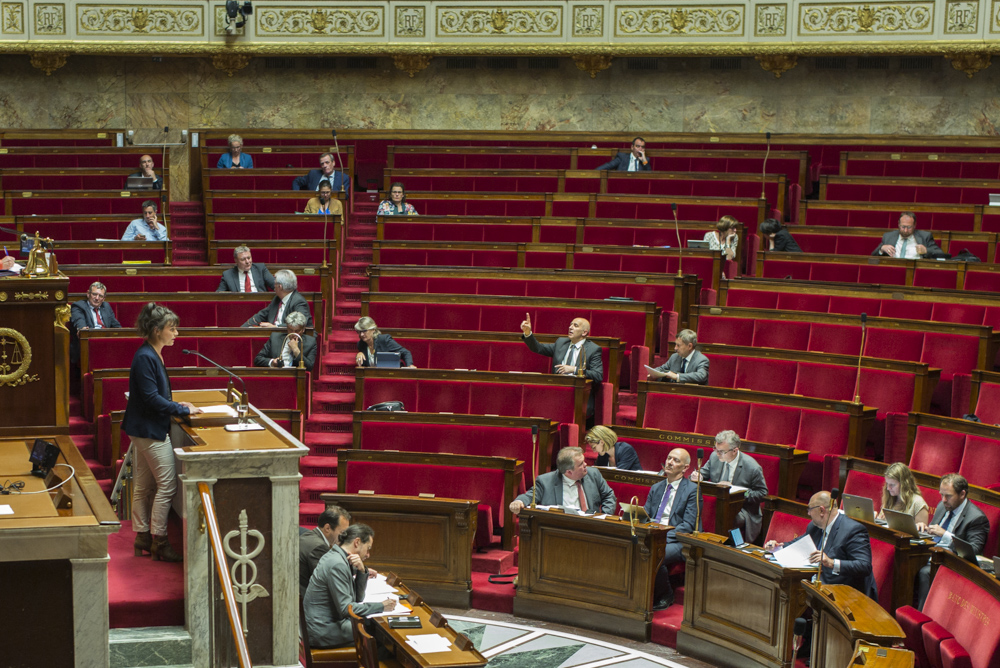 GRAINE DE DEPUTEE: DES CHAMPS BIO AUX BANCS DE L'ASSEMBLEE NATIONALE, SANDRINE LE FEUR.