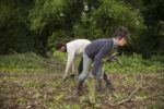 GRAINE DE DEPUTEE: DES CHAMPS BIO AUX BANCS DE L'ASSEMBLEE NATIONALE, SANDRINE LE FEUR. thumbnail