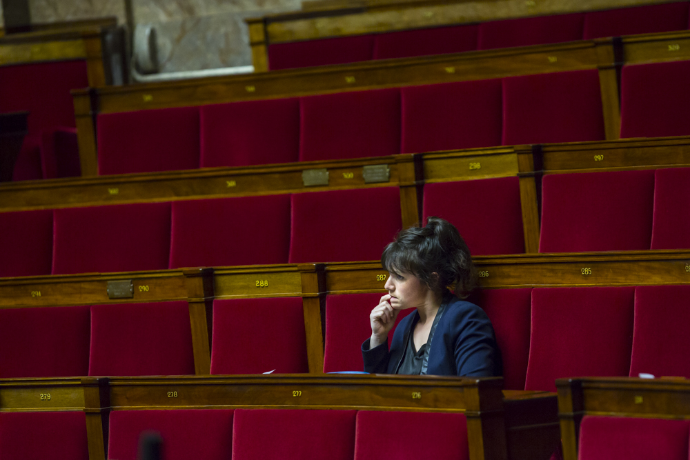 GRAINE DE DEPUTEE: DES CHAMPS BIO AUX BANCS DE L'ASSEMBLEE NATIONALE, SANDRINE LE FEUR.