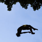 JOUR DE CANICULE SUR PARIS. thumbnail
