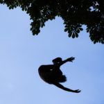 JOUR DE CANICULE SUR PARIS. thumbnail